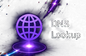 DNS Lookup